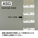 アッシュグリーンの色見本