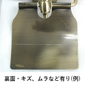 キズなど（例）